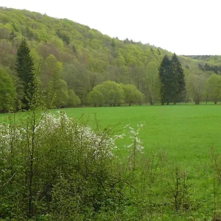 Comfort & Nature In Dankerode, Cleaning Included