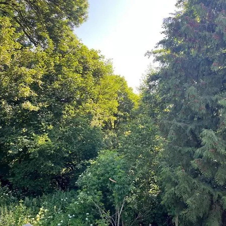 Comfort & Nature In Dankerode, Cleaning Included * Dankerode (Saxony-Anhalt)